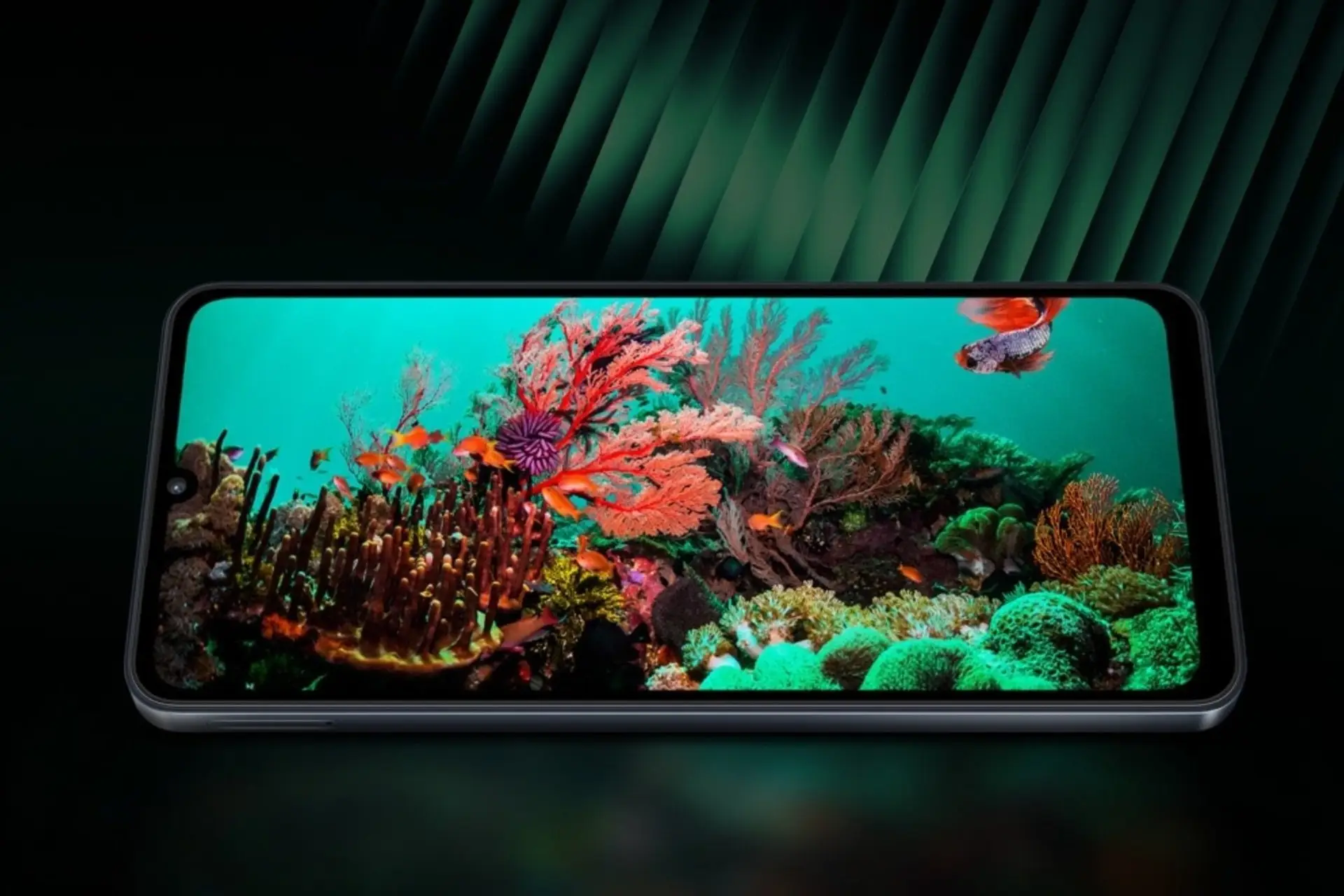 تصاویر گوشی سامسونگ  Samsung Galaxy F07 عکس 2